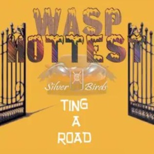 Hottest Ting a Road - Single