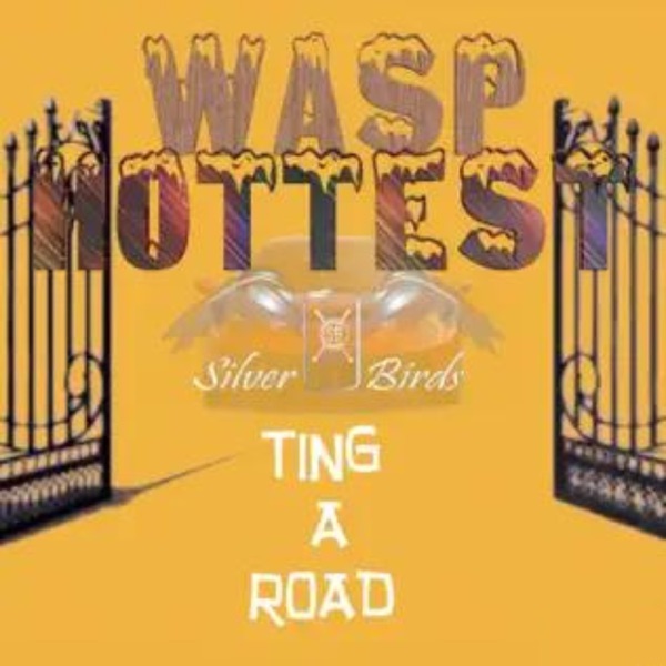 Hottest Ting a Road - Single