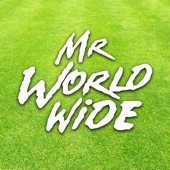 Mr Worldwide artwork