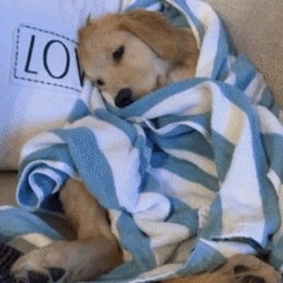 16 missed calls (feat. dooozii, Kasology & kashani) - Single