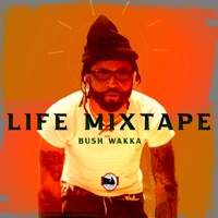 Life Mixtape - Bush Wakka