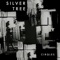Silver Tree - Cirqles lyrics