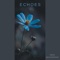 Echoes - Idun Jarlsdotter lyrics