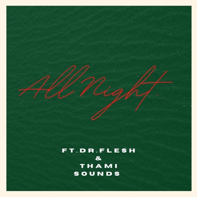 All Night ! (feat. Dr.flesh & Thami Sounds) - Single