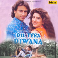 Dil Tera Diwana (Original Motion Picture Soundtrack) - Aadesh Shrivastava