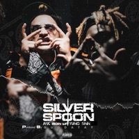 Silver Spoon (feat. Yung Sinn) - Single - MKgoinup