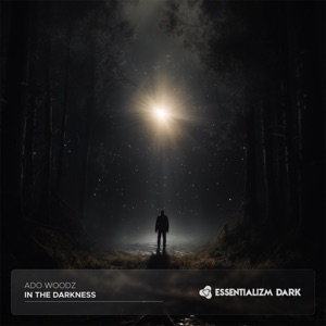 In the Darkness - Single