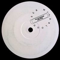 For Emotional Use Only - Single - Seb Wildblood