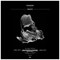 Transcend - Single - Alex Preda