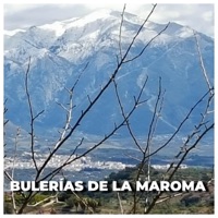 Bulerías de la Maroma - Single - Manuel Olmo