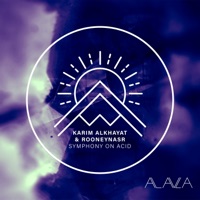 Symphony on Acid - Single - Karim Alkhayat & RooneyNasr