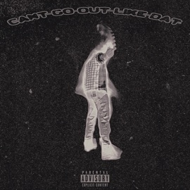 CANT GO OUT LIKE DAT (feat. JayPluggz) SEKRET