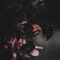 Memoire - Shibamasen lyrics
