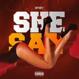 She Say Stizy