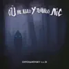 Ой, не ходи у темний ліс (feat. DI)