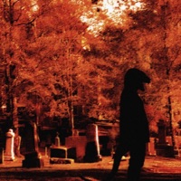 DEATH OF A MAPLE - Single - Velocitraptor