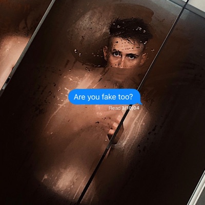 FAKE friends - Single