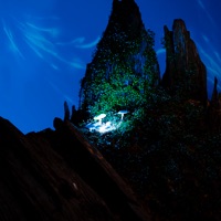 Ветер (feat. sukutona) - Single - Овердоз