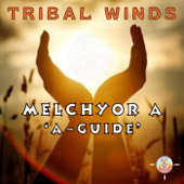 A Guide (Melchyor a's Soul Touch Mix) - Melchyor A Cover Art
