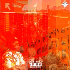 Metro Bigal Harrison