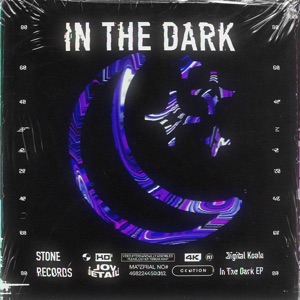 In the Dark (feat. Samstone) - Single