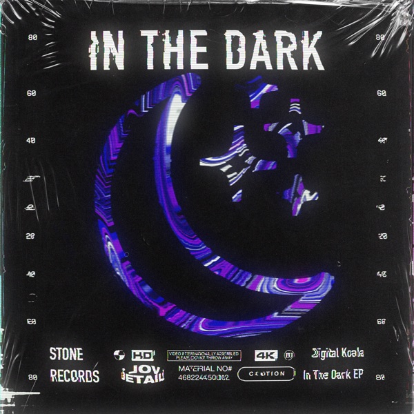 In the Dark (feat. Samstone) - Single