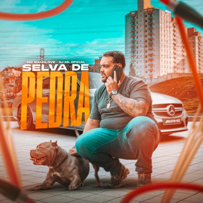 Selva de Pedra - Single