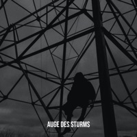 Auge des Sturms (feat. Rhaigo & Hydrogen) - Single - Nobu