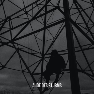 Auge des Sturms (feat. Rhaigo & Hydrogen) - Single