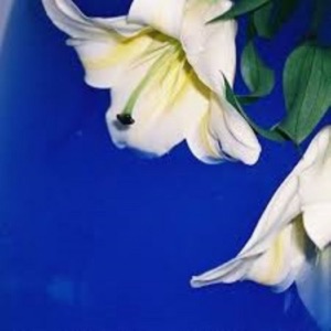 Friends - Single