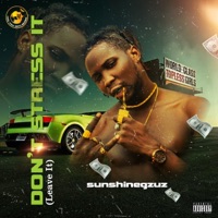 Don't Stress It (Leave It) - Single - SunshineGzuz