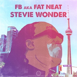 Stevie Wonder FB