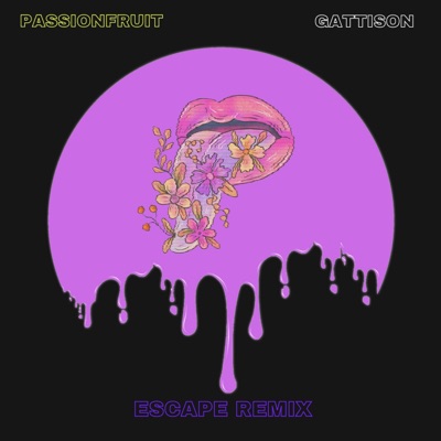 PASSIONFRUIT (Escape Disco Remix 80's) - Single