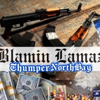 Blamin Lamaz - Single - Thumper North Bay
