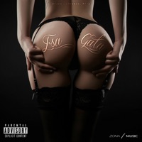 Esa Gata (feat. Beto & Sheykov) - Single - Zeyro