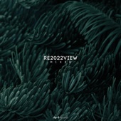 Re2022view (DJ Mix) artwork