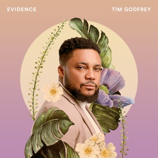 Tim Godfrey Evidence