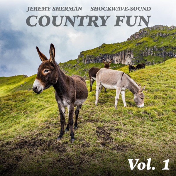 Country Fun, Vol. 1