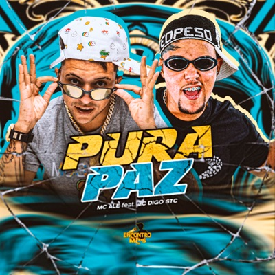 Pura Paz (feat. Mc Digo STC) - Single