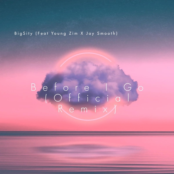 Before I Go (Remix Version)