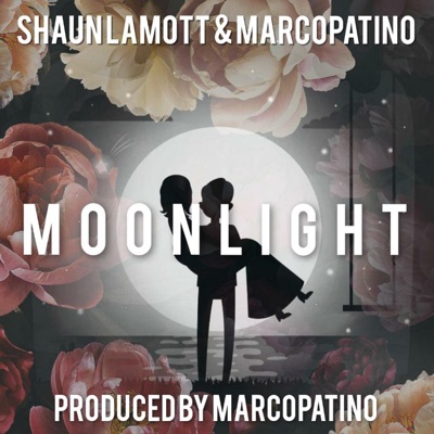 Moonlight - Single