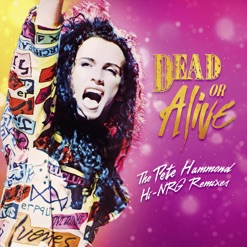 THE PETE HAMMOND HI-NRG REMIXES cover art