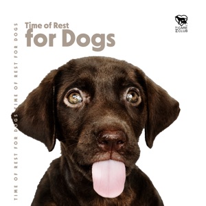 Time of Rest for Dogs