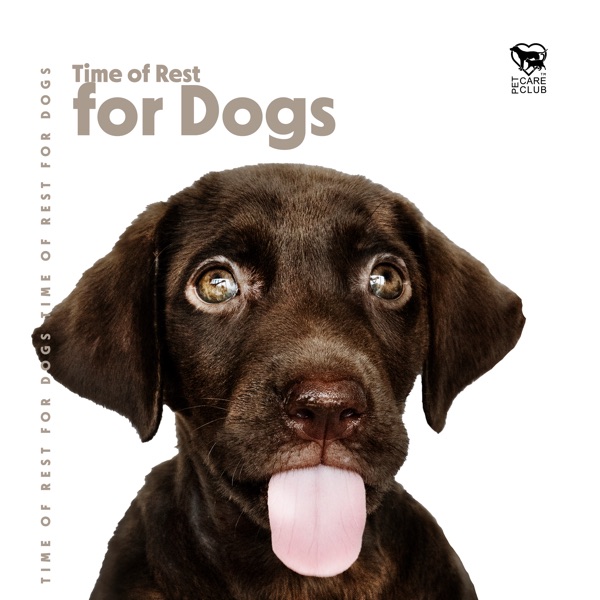 Time of Rest for Dogs