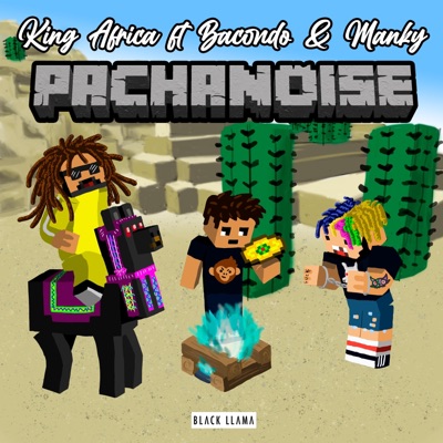 Pachanoise - Single