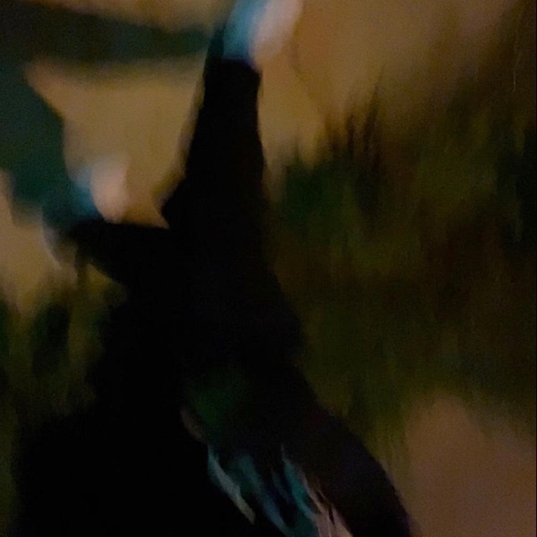 Villain