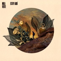 Amor - Single - Mila Verte