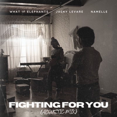 Fighting For You (Acoustic Mix) - Single