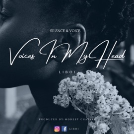 Voices In My Head Liboi