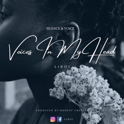 Voices In My Head - Single